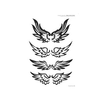 Libro Alas y Ángeles