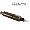Cheyenne Hawk Pen Bronze