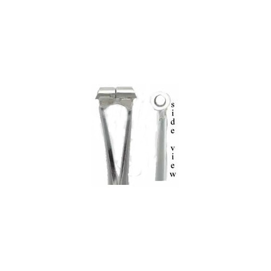 Forceps septum A