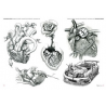 Libro Corazones sagrados y anatómicos