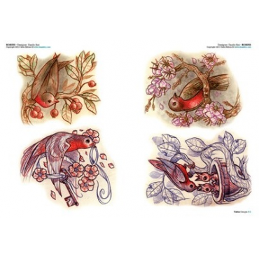 Libro Plumas y Aves