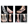 Libro Nuevas Tendencias De Tatuajes: Dotwork